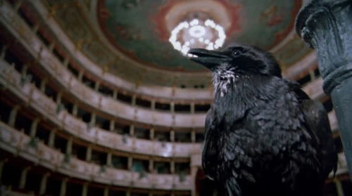 Opéra : le test blu-ray