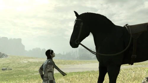 Shadow of the Colossus PS4 : le test !