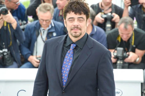 Les photos du 71ème festival de Cannes