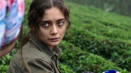 Le FICA 2019 palmarès et images