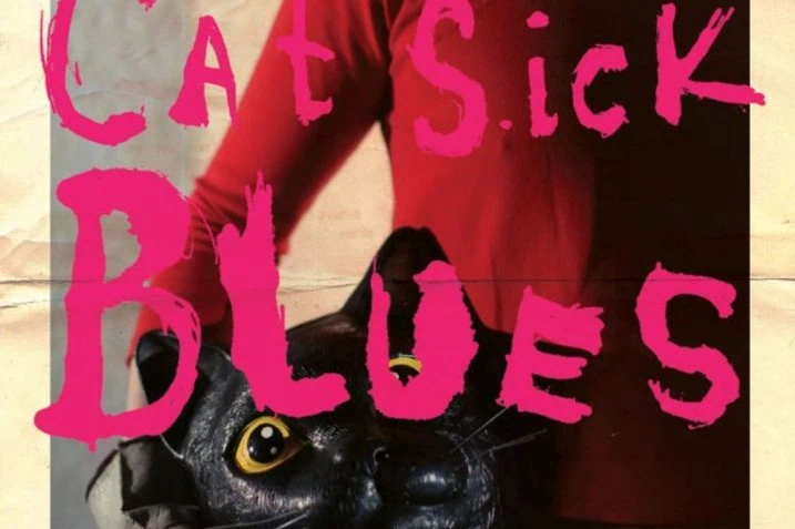 Cat Sick Blues : Test Blu-ray 15 Cat Sick Blues : Test Blu-ray