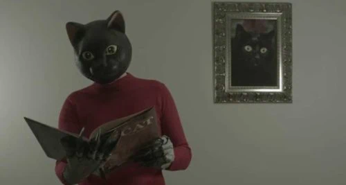 Cat Sick Blues : Test Blu-ray