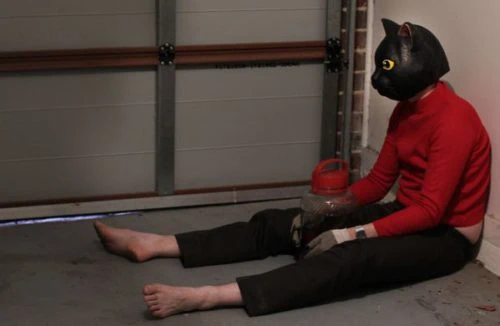 Cat Sick Blues : Test Blu-ray