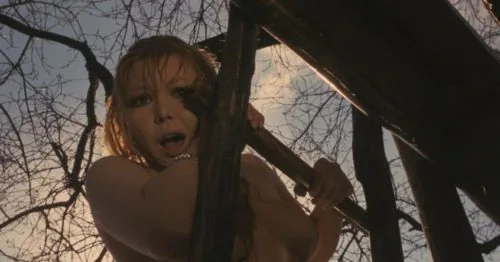 La Baie Sanglante : Test Blu-ray 3 La Baie Sanglante : Test Blu-ray