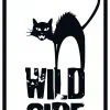Les sorties Wild Side de Juin/Juillet 2019
