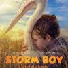 Storm Boy