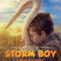 Storm Boy