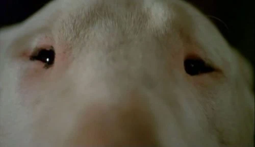 Baxter : Test Blu-ray 3 Baxter : Test Blu-ray