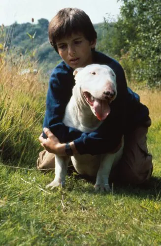 Baxter : Test Blu-ray 6 Baxter : Test Blu-ray