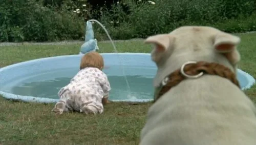 Baxter : Test Blu-ray 5 Baxter : Test Blu-ray