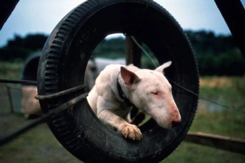 Baxter : Test Blu-ray 4 Baxter : Test Blu-ray