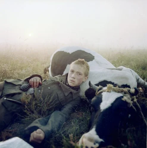 Requiem Pour Un Massacre : Test Blu-ray