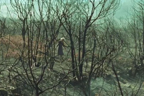 Viendra Le Feu 5 Viendra Le Feu