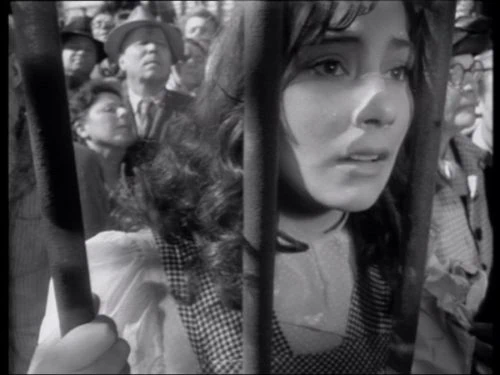 Quand Passent Les Cigognes : Test Blu-ray