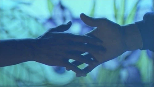 Ne Croyez Surtout Pas Que Je Hurle