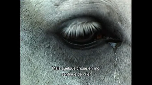 Ne Croyez Surtout Pas Que Je Hurle