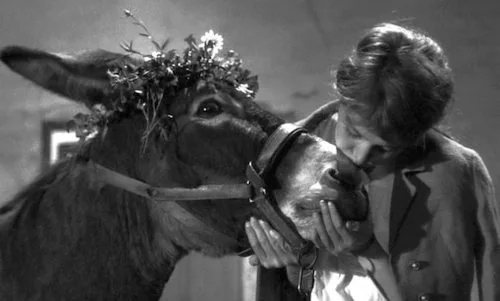 Au Hasard Balthazar : Test Blu-Ray