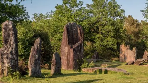 Le Jeûne : A La Croisée Des Chemins / Test DVD
