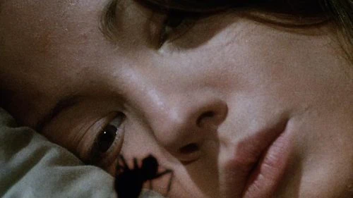 Phase IV : le test blu-ray