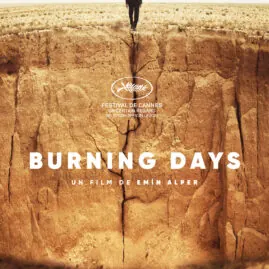Burning days
