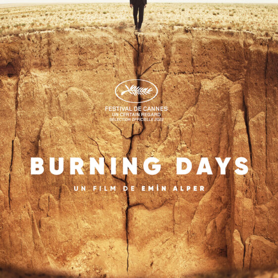 Burning days