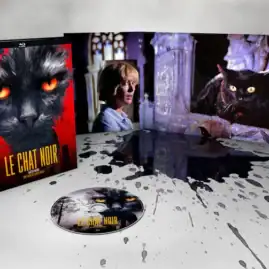 Le chat noir : le test blu-ray