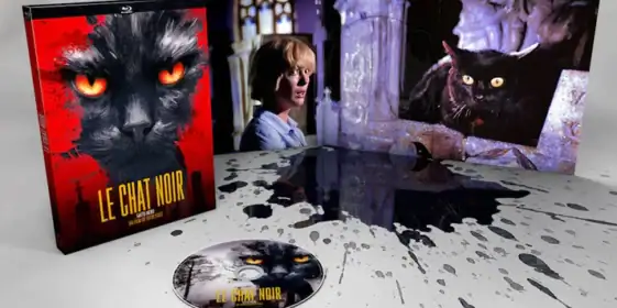 Le chat noir : le test blu-ray