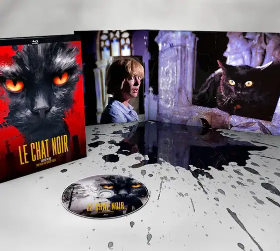 Le chat noir : le test blu-ray