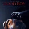 Good Boy : Le film d'horreur canin dévoile sa bande-annonce
