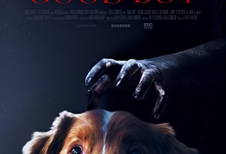 Good Boy : Le film d'horreur canin dévoile sa bande-annonce