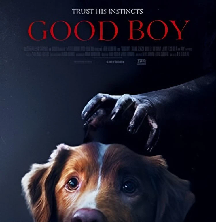 Good Boy : Le film d'horreur canin dévoile sa bande-annonce