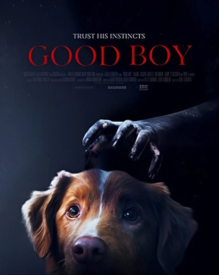 Good Boy : Le film d'horreur canin dévoile sa bande-annonce