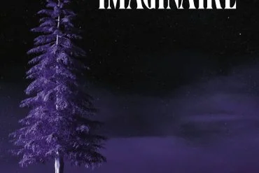 Festival du Film Merveilleux & Imaginaire 2025 : quand les réalités se déforment, les rêves renaissent