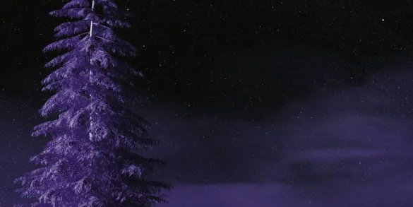 Festival du Film Merveilleux & Imaginaire 2025 : quand les réalités se déforment, les rêves renaissent