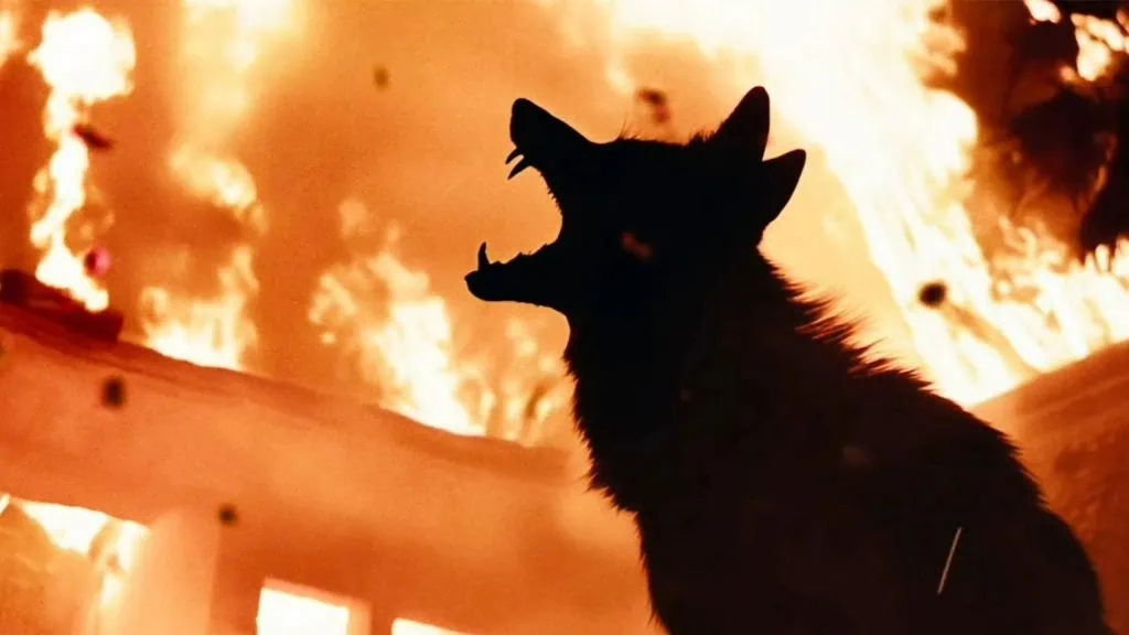 Critique Coyotes (2025)