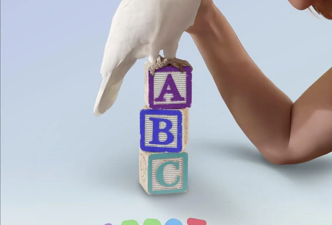 Interview Amy Herdy (Parrot Kindergarten) par Cinealliance : Secte et perroquet 1 Interview Amy Herdy (Parrot Kindergarten) par Cinealliance : Secte et perroquet