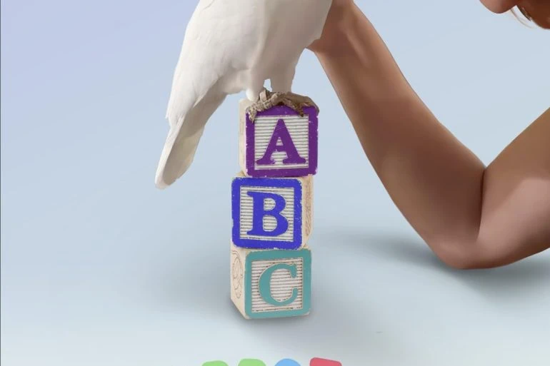 Interview Amy Herdy (Parrot Kindergarten) par Cinealliance : Secte et perroquet