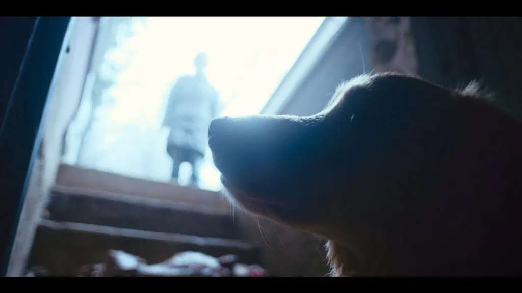 Critique de Good Boy