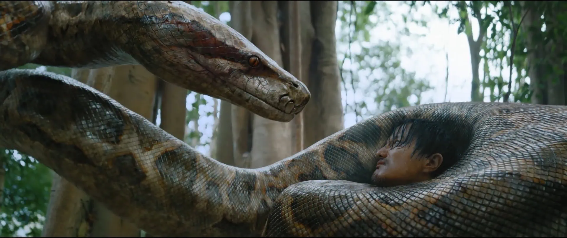 Critique de Anaconda : cursed jungle 1 Critique de Anaconda : cursed jungle