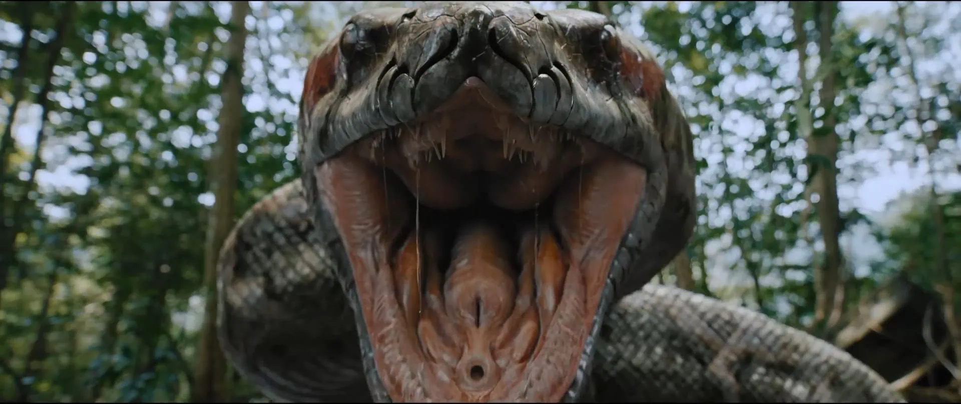 Critique de Anaconda : cursed jungle 3 Critique de Anaconda : cursed jungle