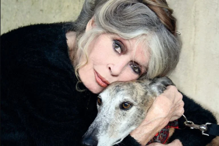 Brigitte Bardot est morte à 91 ans : le cinéma français perd une légende 6 Brigitte Bardot est morte à 91 ans : le cinéma français perd une légende
