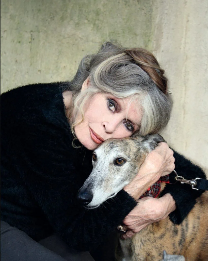 Brigitte Bardot est morte à 91 ans : le cinéma français perd une légende 3 Brigitte Bardot est morte à 91 ans : le cinéma français perd une légende