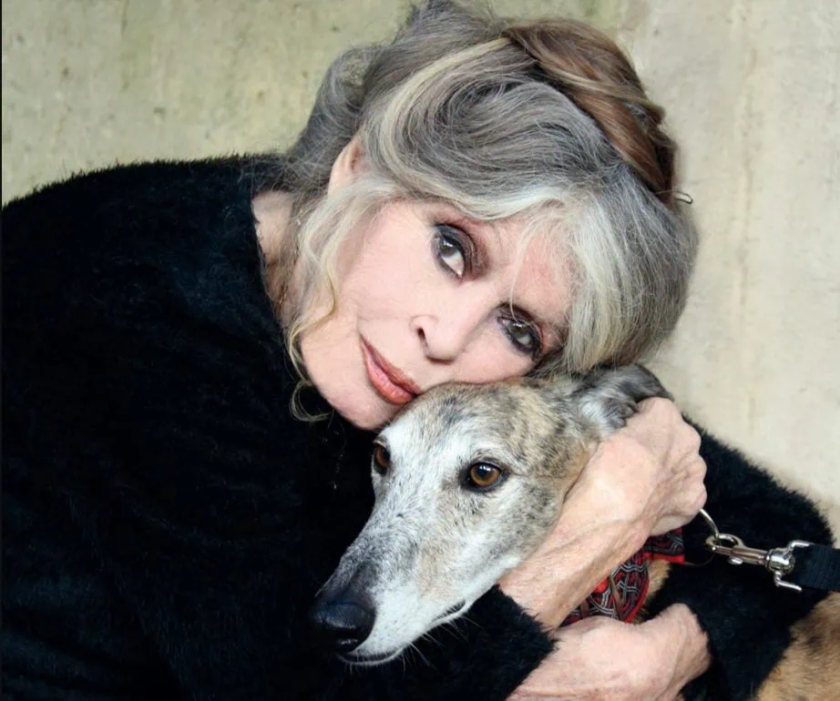 Brigitte Bardot est morte à 91 ans : le cinéma français perd une légende 1 Brigitte Bardot est morte à 91 ans : le cinéma français perd une légende