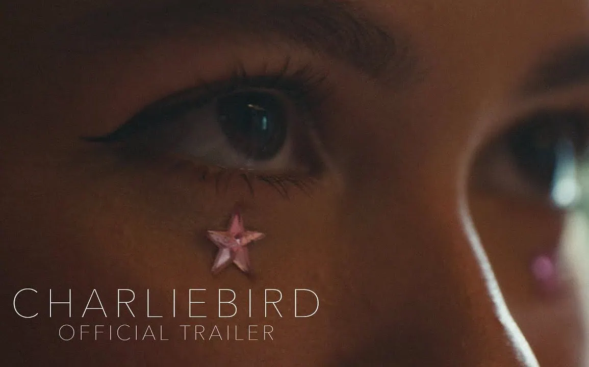 Bande annonce de Charliebird : Une thérapeute musicale explore le deuil et la guérison 1 Bande annonce de Charliebird : Une thérapeute musicale explore le deuil et la guérison