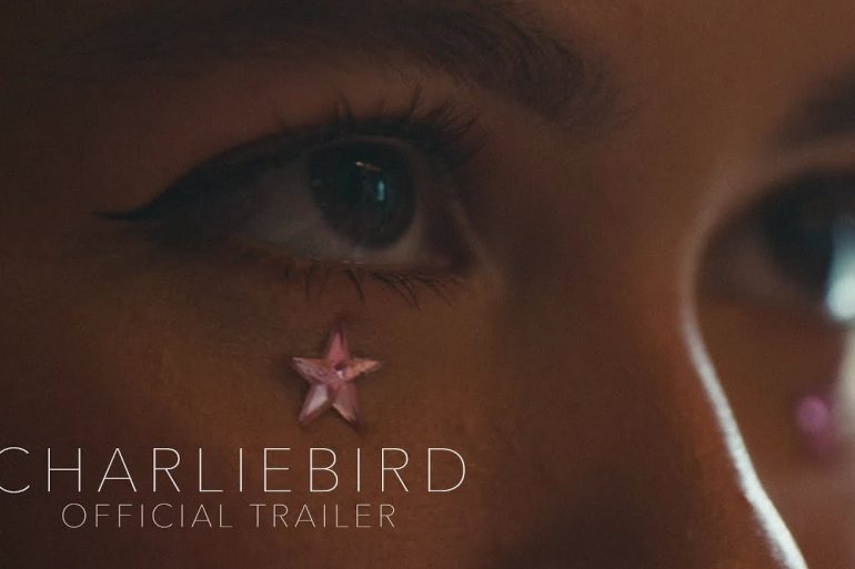 Bande annonce de Charliebird : Une thérapeute musicale explore le deuil et la guérison 12 Bande annonce de Charliebird : Une thérapeute musicale explore le deuil et la guérison