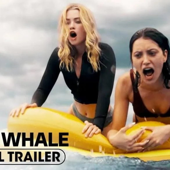 Bande annonce de Killer Whale : un prédateur marin dans un thriller avec Virginia Gardner 2 Bande annonce de Killer Whale : un prédateur marin dans un thriller avec Virginia Gardner