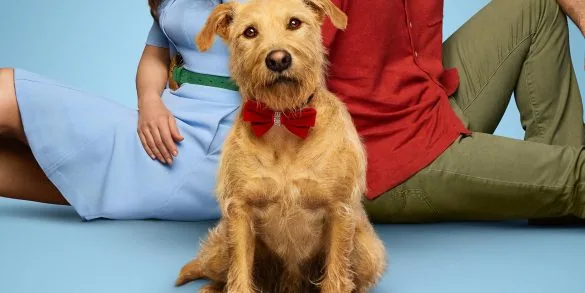 Critique de Merv 10 Critique de Merv