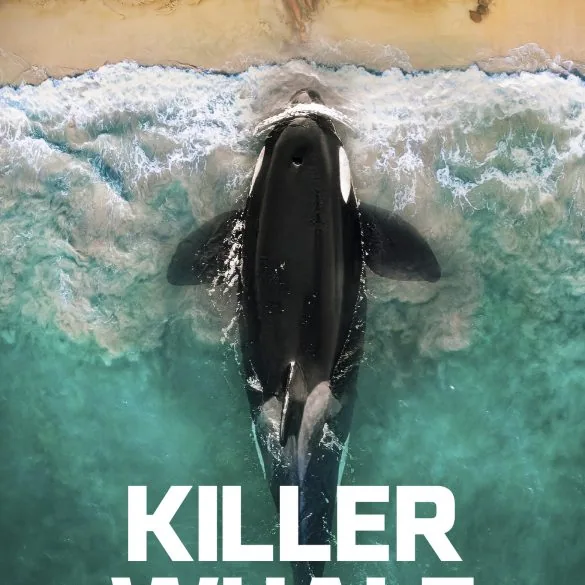 Critique de Killer Whale 1 Critique de Killer Whale