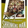 Critique de L'Homme qui rétrécit