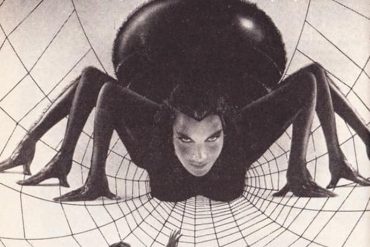 Critique de La Malédiction de la veuve noire